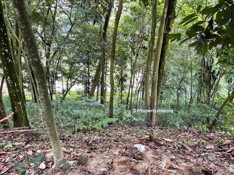 Bungalow Land for Sale in Country Heights Damansara, Kuala Lumpur by Anand - iProperty.com.my