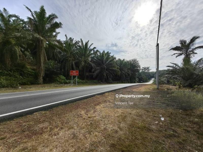 Agricultural Land for Sale in Bandar Mengkuang, Triang by Vincent Tee - iProperty.com.my