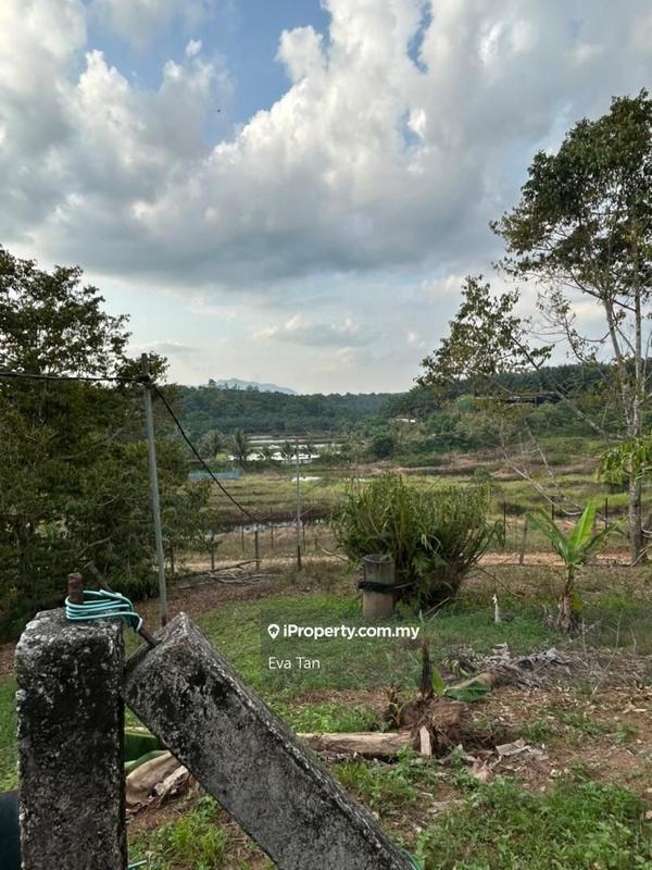 Agricultural Land for Sale in Kuala Sedili, Mawai, Kota Tinggi by Eva Tan - iProperty.com.my