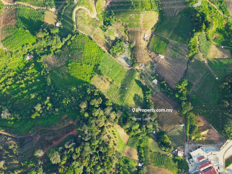 Agricultural Land for Sale in Genting Sempah, Bentong by Irene Leong - iProperty.com.my