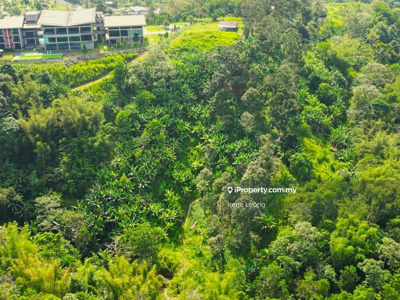 Agricultural Land for Sale in Bukit Tinggi, Bentong by Irene Leong - iProperty.com.my