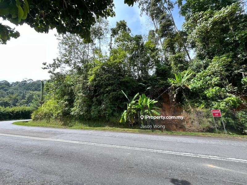 Bungalow Land for Sale in Bukit Tinggi, Bentong by Jason Wong - iProperty.com.my