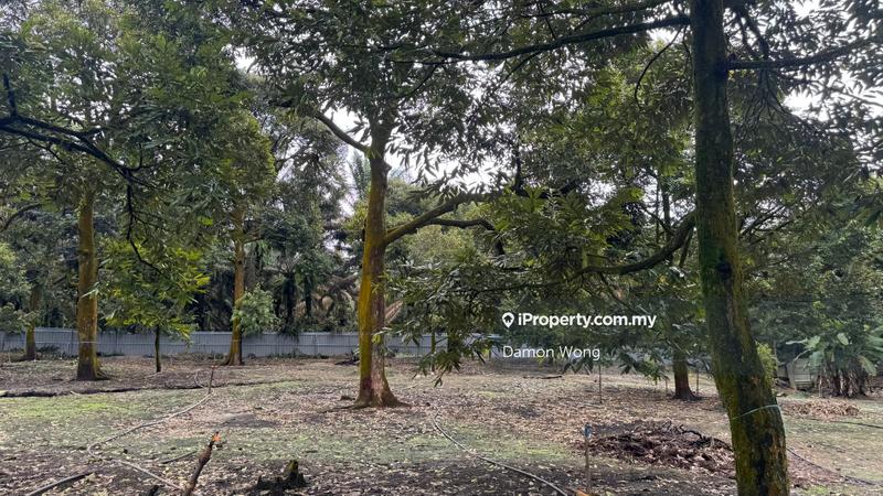 Agricultural Land for Sale in Sungai Klau, Gali by Damon Wong - iProperty.com.my