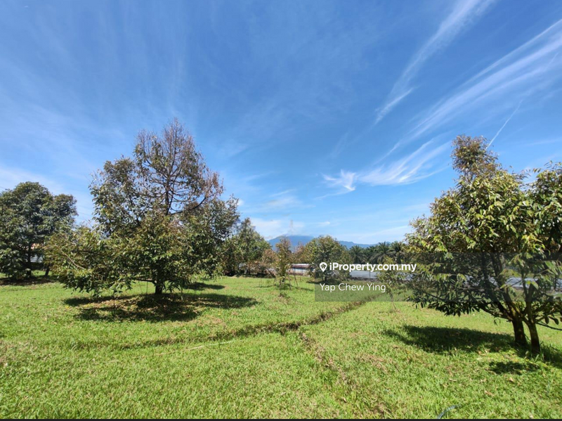 Agricultural Land for Sale in Kampung Batu 30, Ulu Yam by Yap Chew Ying - iProperty.com.my
