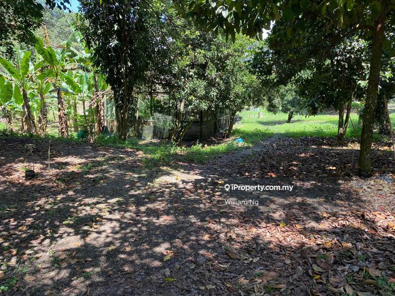 Agricultural Land for Sale in Taman Jelebu, Kuala Klawang by William Ng - iProperty.com.my
