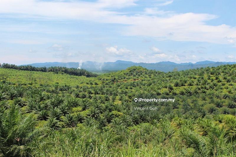 Tanah Pertanian untuk Dijual di Sungai Pelek, Sepang oleh Vincent Goh - iProperty.com.my