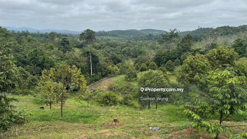 Agricultural Land for Sale in Sega, Dong, Raub by Damon Wong - iProperty.com.my