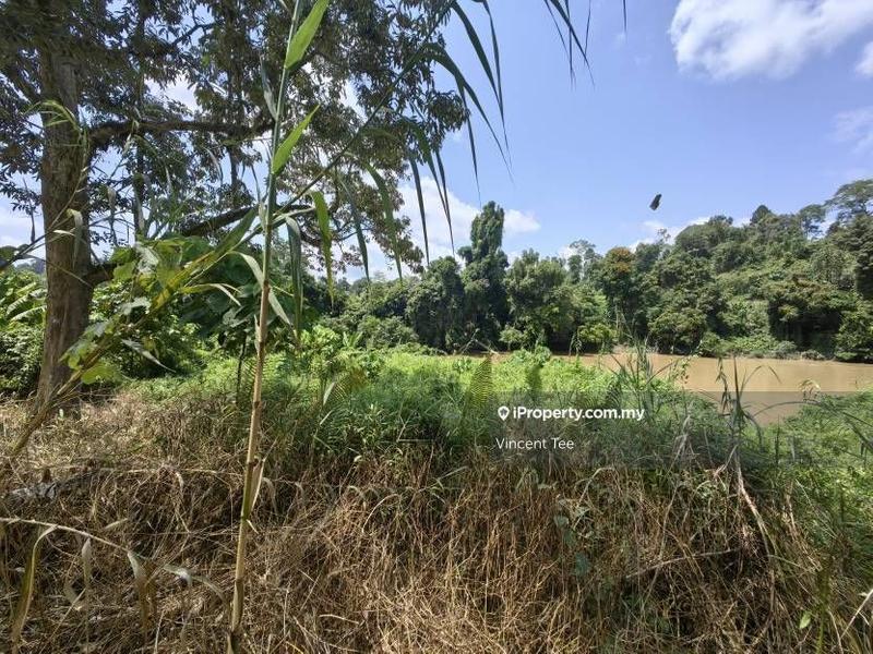 Agricultural Land for Sale in Bandar Baru Kuala Lipis, Kuala Lipis by Vincent Tee - iProperty.com.my