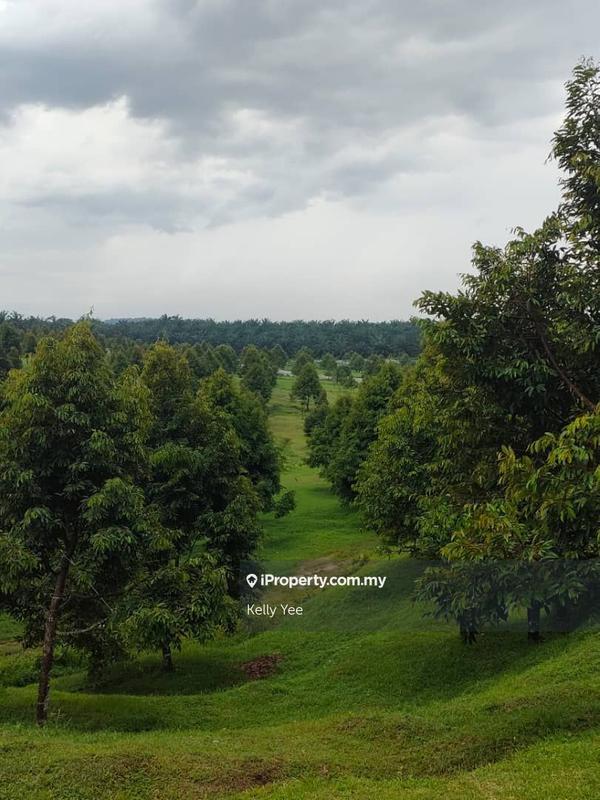 Tanah Pertanian untuk Dijual di Kampung Sungai Terap, Serdang oleh Kelly Yee - iProperty.com.my