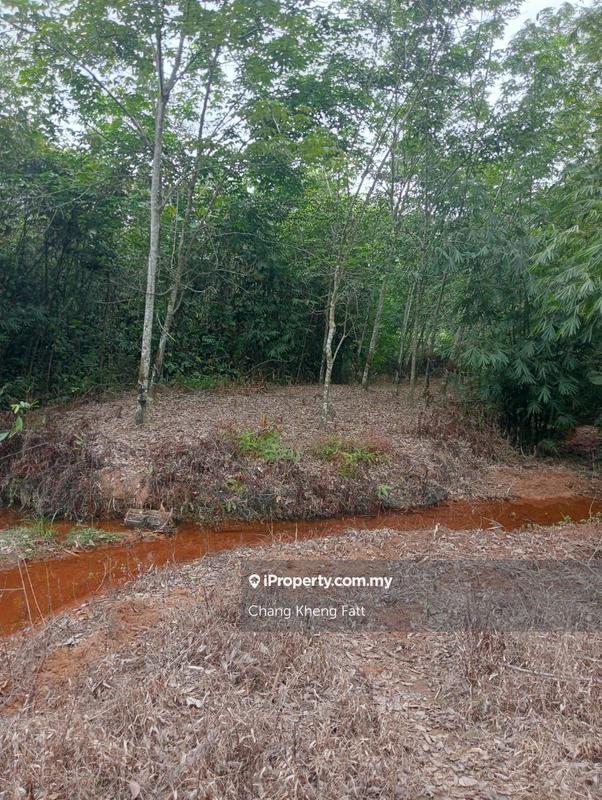 Agricultural Land for Sale in Lembah Beringin, Sungai Gumut by Chang Kheng Fatt - iProperty.com.my