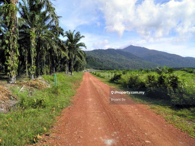 Agricultural Land for Sale in Tangkak, Johor by Bryant Be - iProperty.com.my