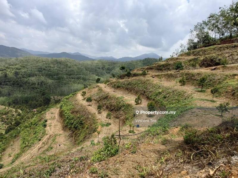 Agricultural Land for Sale in Pekan Baru Titi, Titi by Vincent Tee - iProperty.com.my