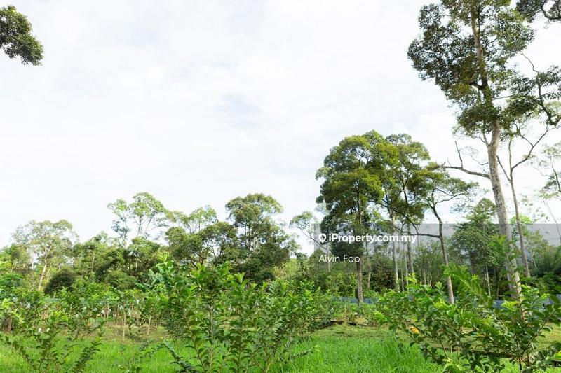 Agricultural Land for Sale in Agriculture Land @Changkat Jering Taiping Perak, Taiping by Alvin Foo - iProperty.com.my