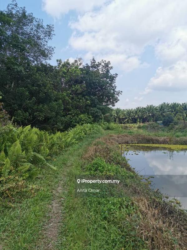 Agricultural Land for Sale in Seremban, Ampangan by Anita Omar - iProperty.com.my