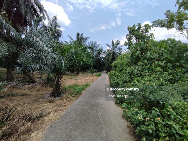 Agricultural Land for Sale in Telok Panglima Garang, Selangor by Sebastian Yap - iProperty.com.my