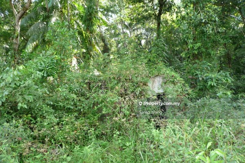 Tanah Komersial untuk Dijual di Kuala Rombin, Rompin oleh Santo Wang - iProperty.com.my