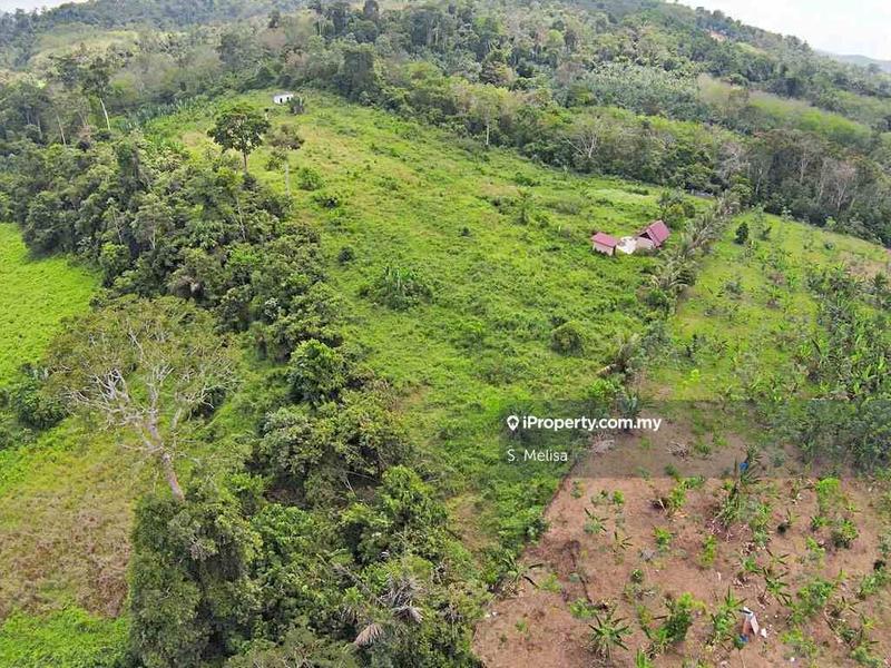 Agricultural Land for Sale in Bukit Damar, Lanchang, Temerloh by S. Melisa - iProperty.com.my
