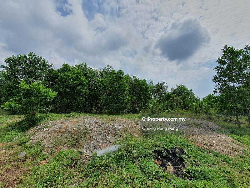 Agricultural Land for Sale in Lendu, Alor Gajah by Chong Ming Ming - iProperty.com.my