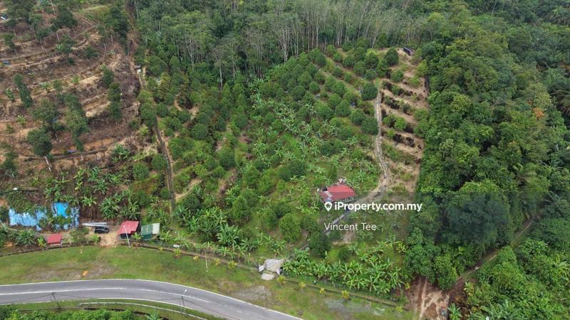 Agricultural Land for Sale in Taman Titi, Titi by Vincent Tee - iProperty.com.my