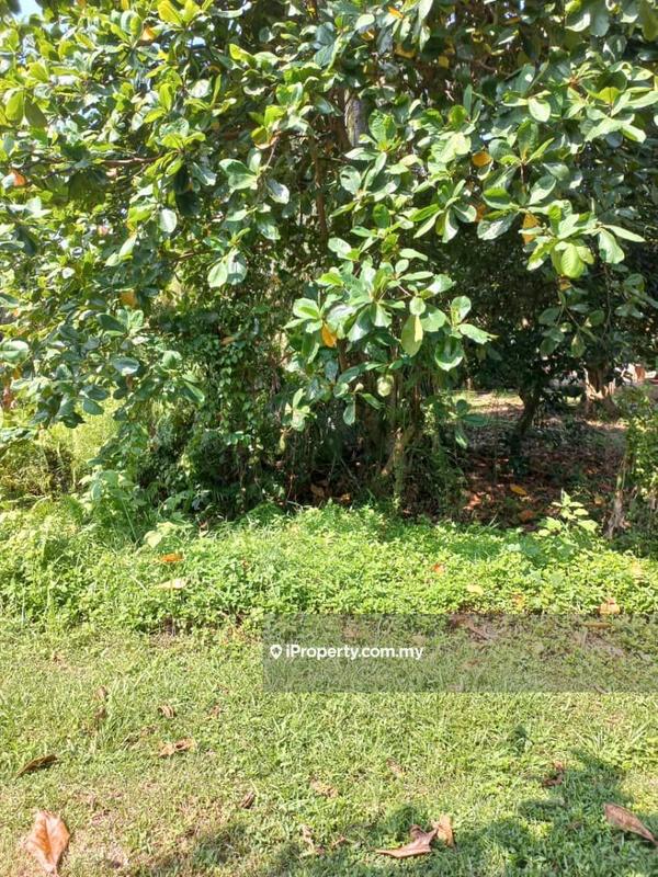Commercial Land for Sale in KUALA SELANGOR, Kuala Selangor by Abdul Shukor - iProperty.com.my