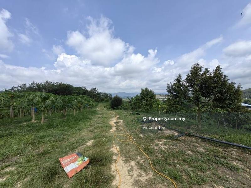 Tanah Pertanian untuk Dijual di Bandar Raub Perdana, Raub oleh Vincent Tee - iProperty.com.my