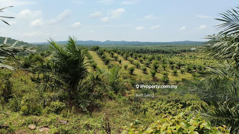 For Sale - Beside Mainroad 178 Acre Freehold