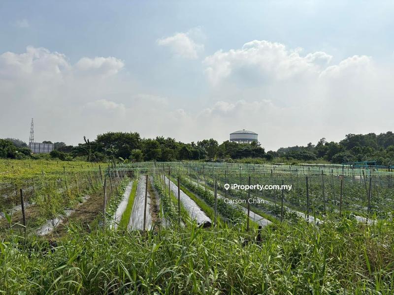 For Rent - [Facing Main Road][Agri Land To Let] Kampung Johan Setia