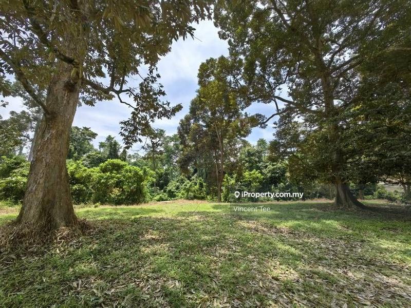 Agricultural Land for Sale in Bandar Lipis, Kuala Lipis by Vincent Tee - iProperty.com.my