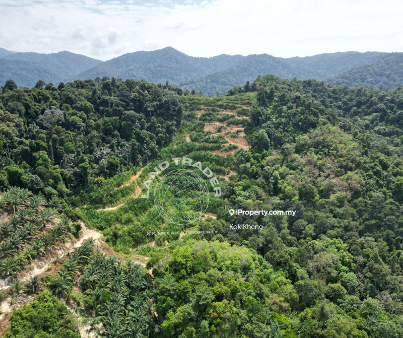 Agricultural Land for Sale in Seremban, Negeri Sembilan by Kok Kheng - iProperty.com.my