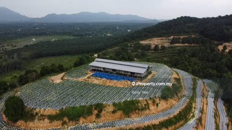 Agricultural Land for Sale in Kampung Legong Jaya, Gadong by Kelly Yee - iProperty.com.my