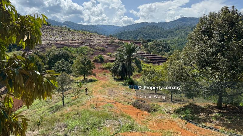 Tanah Pertanian untuk Dijual di Cheroh, Raub oleh Damon Wong - iProperty.com.my