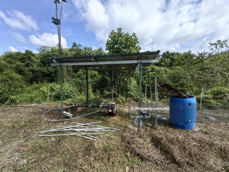 Agricultural Land for Sale in Bandar Lipis, Kuala Lipis by Vincent Tee - iProperty.com.my