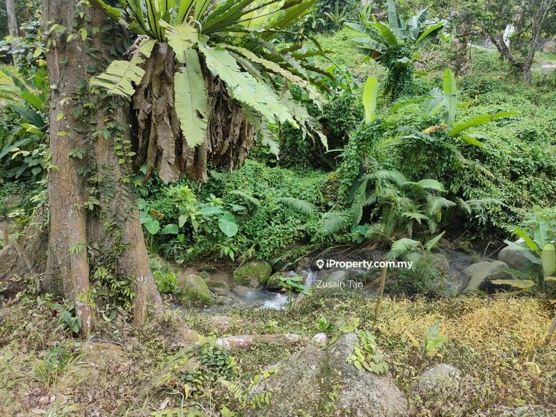 Agricultural Land for Sale in Kampung Titi Serong, Balik Pulau by Zusain Tan - iProperty.com.my
