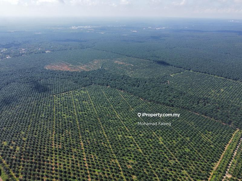 Industrial Land for Sale in Jasin, Melaka by Mohamad Faleeq - iProperty.com.my