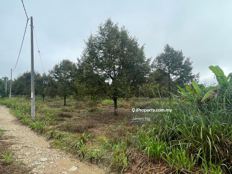 Tanah Pertanian untuk Dijual di Karak, Pahang oleh James Ng - iProperty.com.my