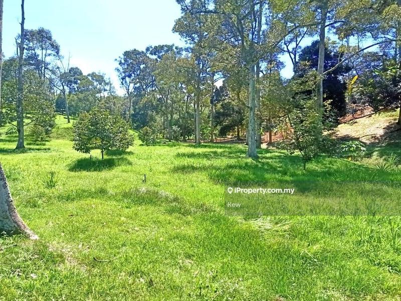 For Sale - Negeri Sembilan Titi Durian Land