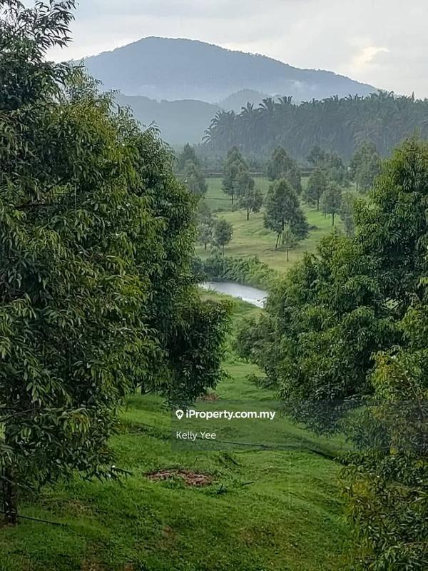 Tanah Pertanian untuk Dijual di Kampung Sungai Terap, Serdang oleh Kelly Yee - iProperty.com.my