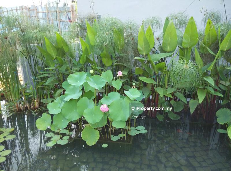 Service Residence for Sale in The Leafz @ Dedaun by Ken Lye - iProperty.com.my