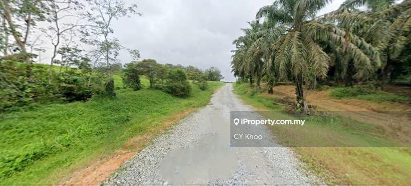 Agricultural Land for Sale in Kempas, Johor Bahru by CY Khoo - iProperty.com.my