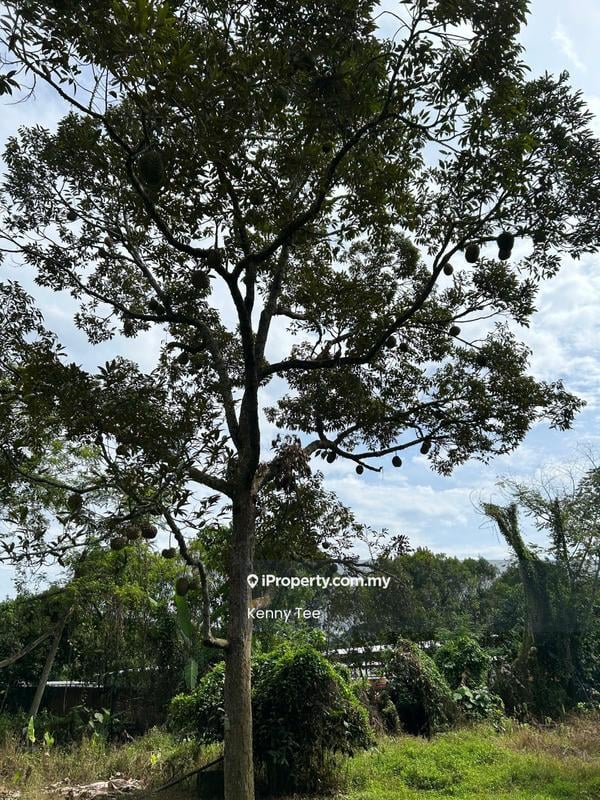 Tanah Pertanian untuk Dijual di Felda Titi, Titi oleh Kenny Tee - Exterior - iProperty.com.my