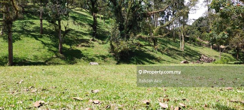 Agricultural Land untuk Dijual di Janda Baik, Bentong oleh Rafidah Aziz - iProperty.com.my