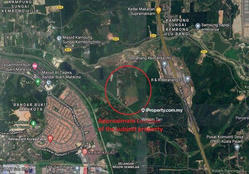 For Sale - Musang King Farm at Bangi