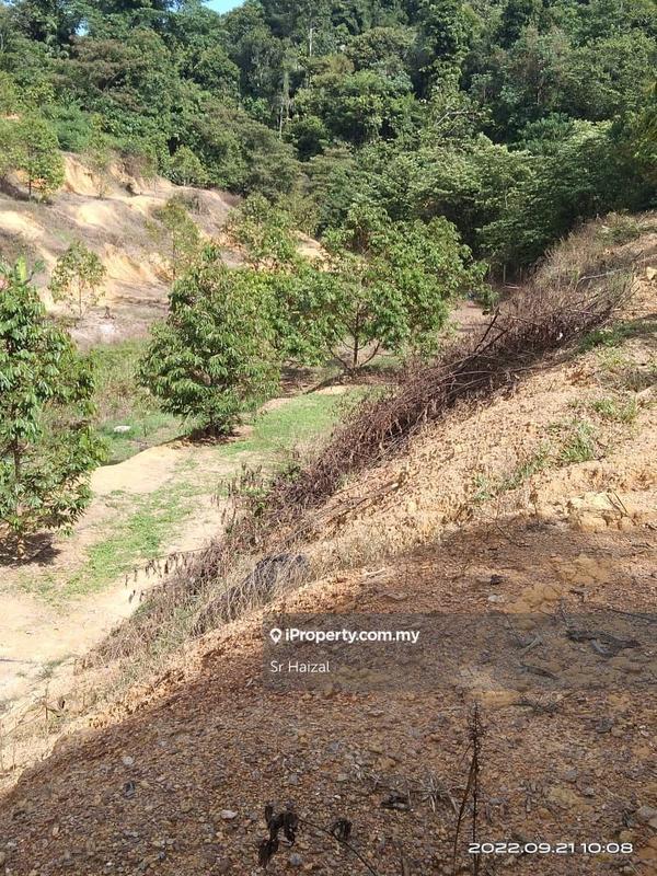 Agricultural Land for Sale in Tampin, Negeri Sembilan by Sr Haizal - iProperty.com.my