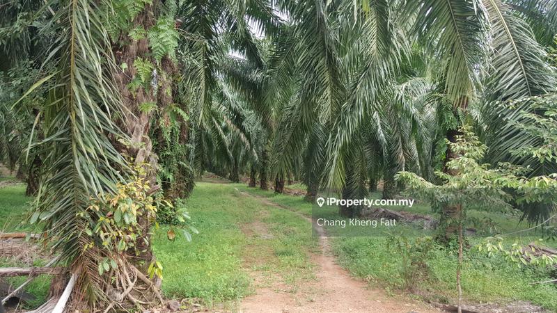 Tanah Perindustrian untuk Dijual di Kampung Teluk Mengkuang, Telok Panglima Garang oleh Chang Kheng Fatt - iProperty.com.my