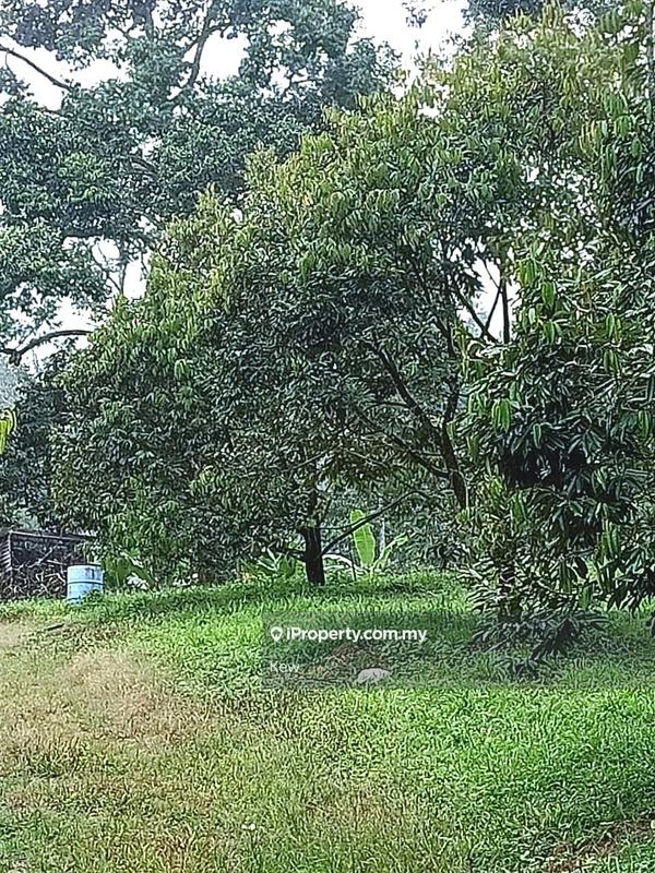 Tanah Pertanian untuk Dijual di Negeri Sembilan , Titi, Titi oleh Kew - iProperty.com.my