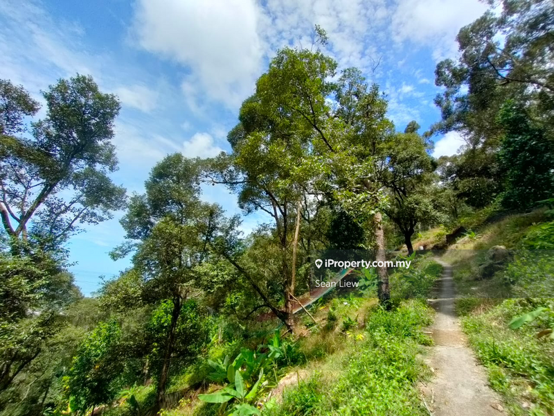 Agricultural Land for Sale in Pulau Penang, Bayan Lepas by Sean Liew - iProperty.com.my