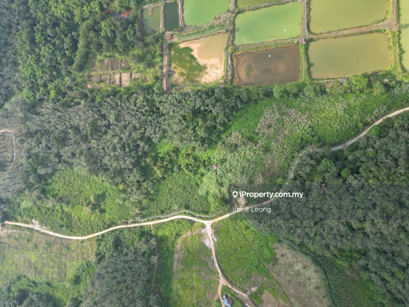 Agricultural Land for Sale in Kampung Chamang, Bentong by Irene Leong - iProperty.com.my