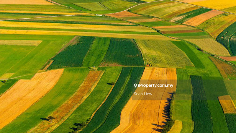Agricultural Land for Sale in Balik Pulau Penang, Balik Pulau by Sean Liew - iProperty.com.my