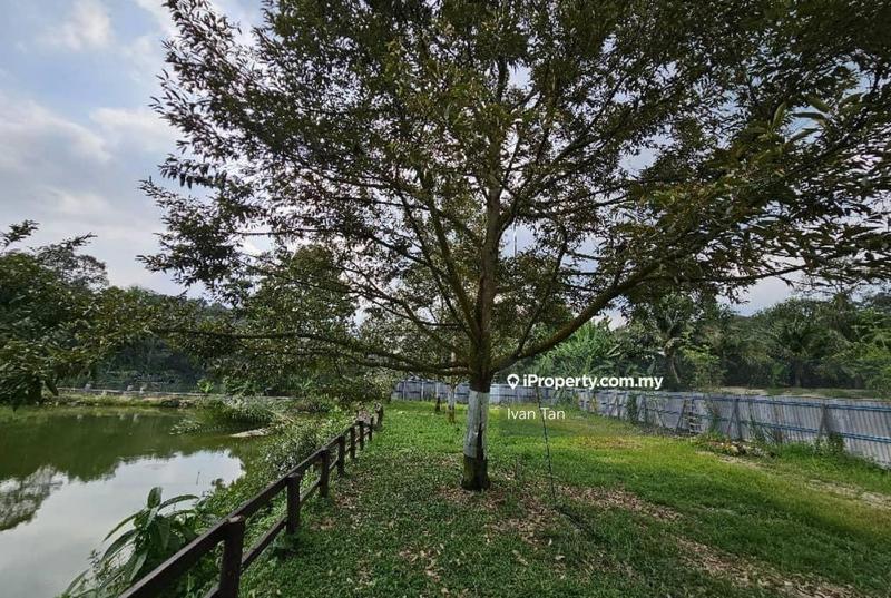 Tanah Pertanian untuk Dijual di Kampung Sungai Makau, Hulu Langat oleh Ivan Tan - iProperty.com.my