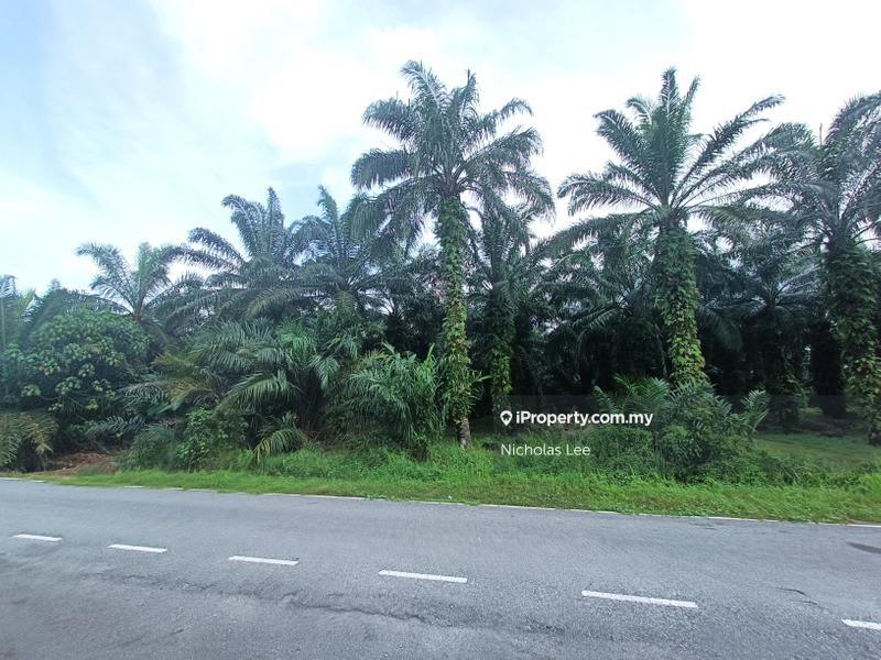 Agricultural Land for Rent in Kampung Sri Cheeding, Jenjarom by Nicholas Lee - iProperty.com.my